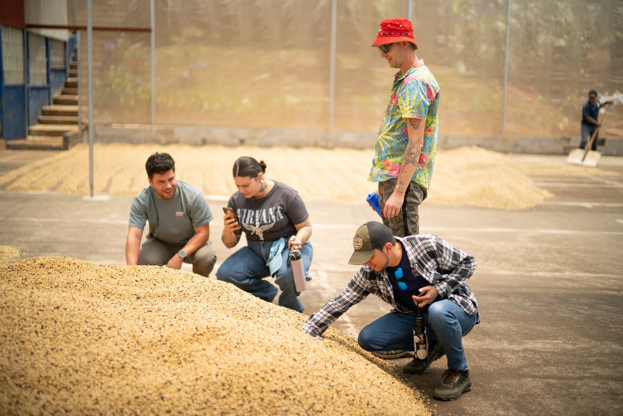 Visitamos 14 fincas y esto aprendimos sobre la cosecha 2025–2026 en Costa Rica